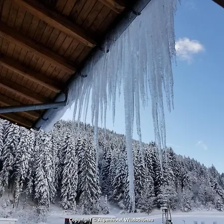 Pretty In With Infrared Sauna Apartman
